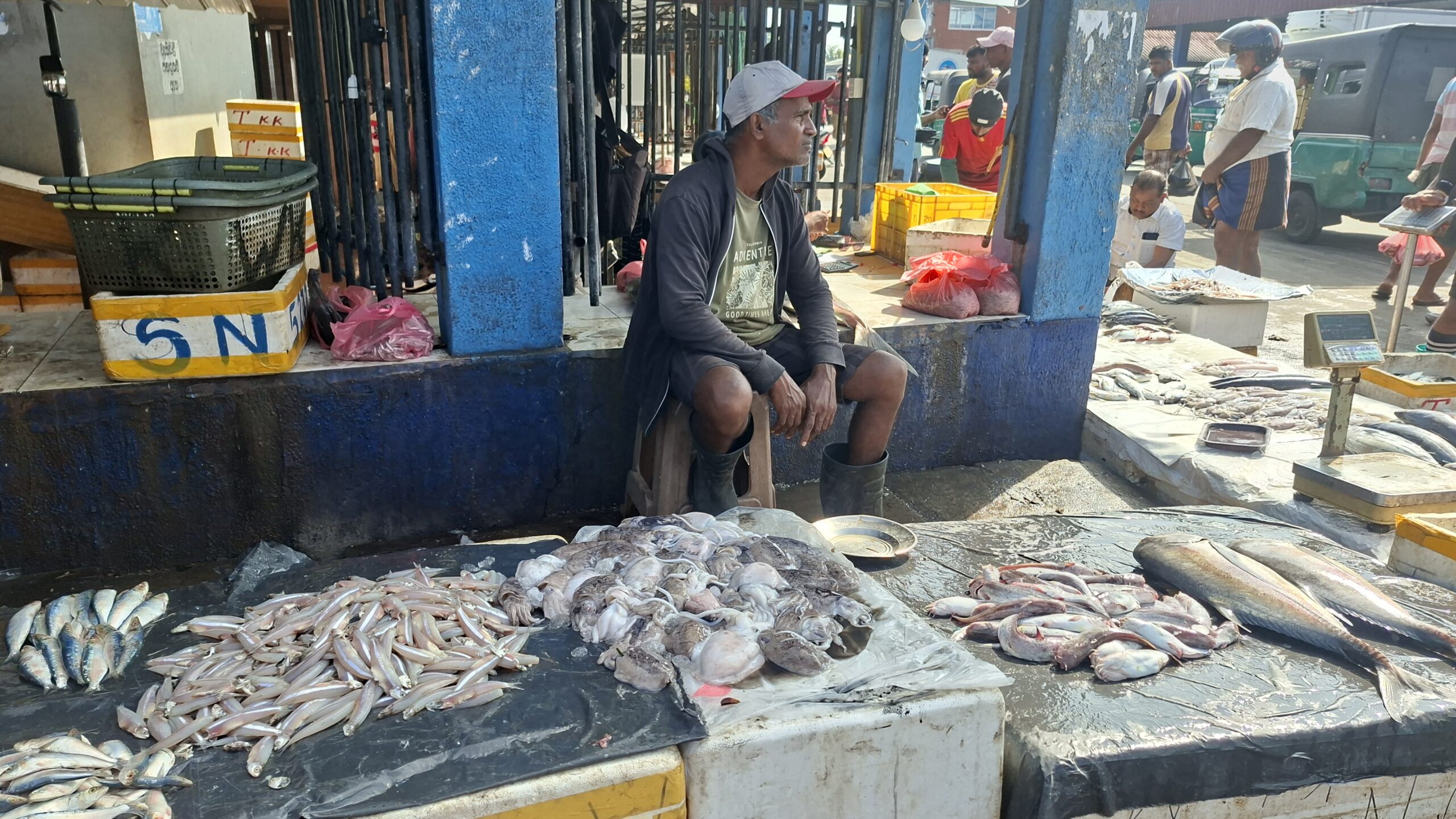 Fischmarkt in Negombo
